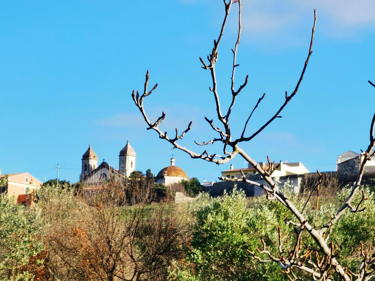 La Corte Degli Ulivi - Albergo Rurale Tresnuraghes Ngoại thất bức ảnh