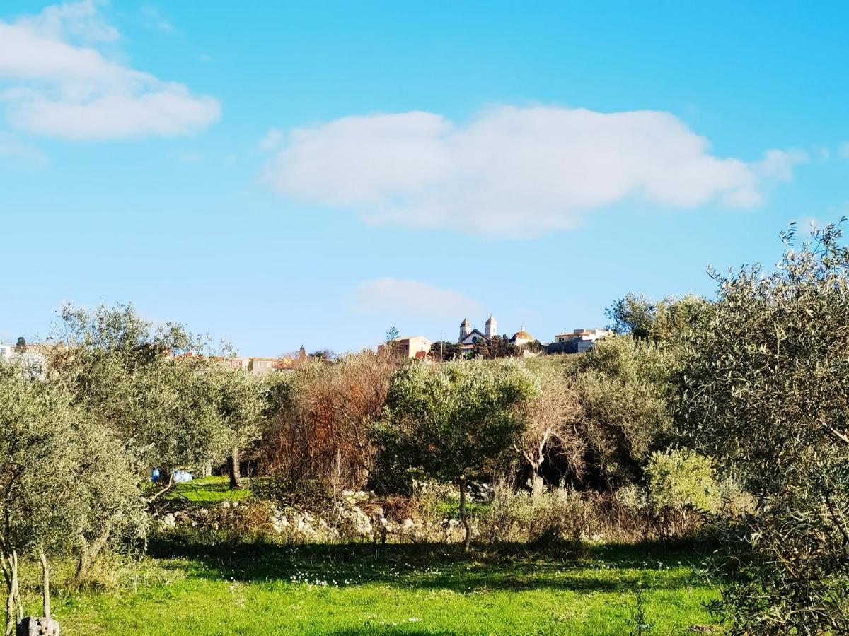 La Corte Degli Ulivi - Albergo Rurale Tresnuraghes Ngoại thất bức ảnh