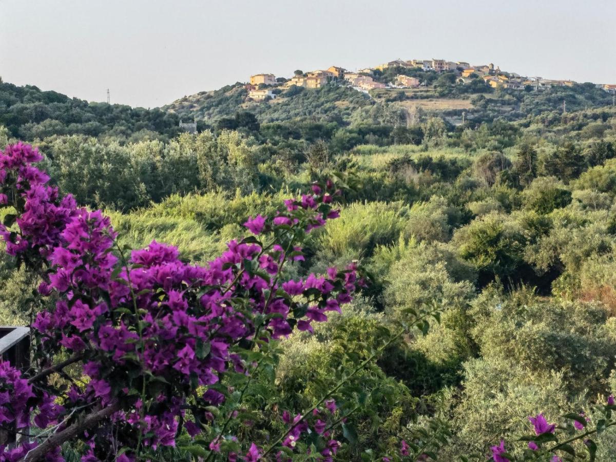 La Corte Degli Ulivi - Albergo Rurale Tresnuraghes Ngoại thất bức ảnh
